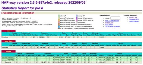 Nomad 14 And Haproxy Server Template Without Consul And Its Dns