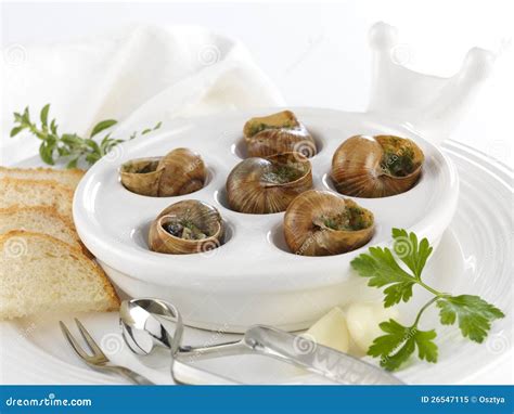 Burgundy Snails Stock Image Image Of Snail Gastronomy 26547115