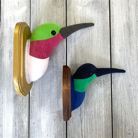 Zooguu Hummingbird Faux Taxidermy — Zooguu Handmade