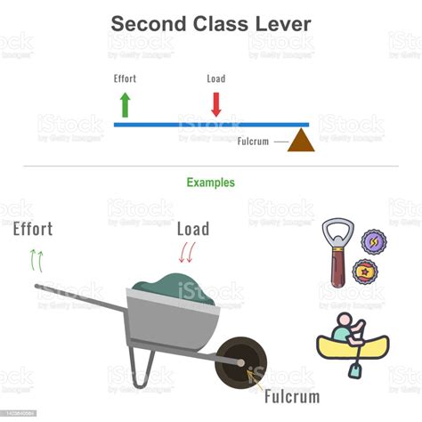 Second Class Lever With Example Vector Illustration Stock Illustration