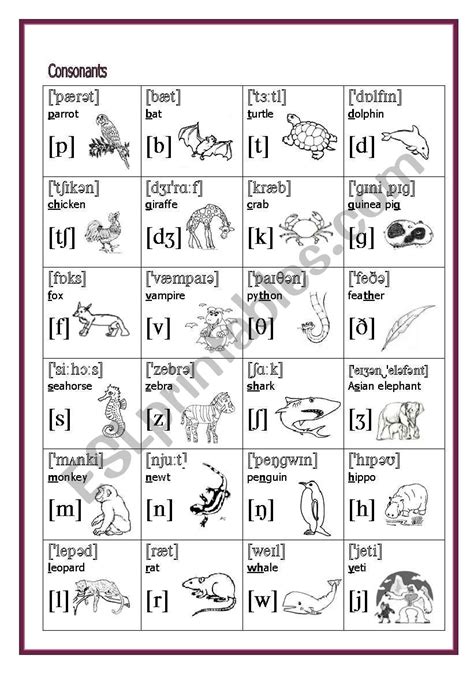 Phonetic Symbols Consonants Esl Worksheet By Nogara Hot Sex Picture