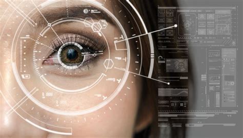 What Are Biometrics And How Are They Used Usf Health Online