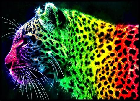 Find over 100+ of the best free colorful images. colorful rainbow tiger graphic design art picture ...