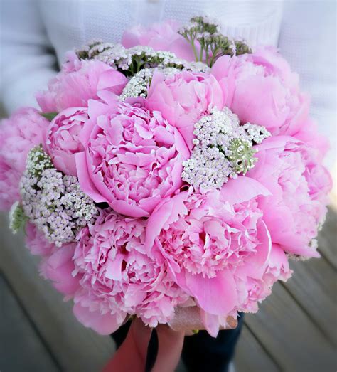 P I N K Peonies Bouquet Pleaseeeee Pink Peonies Bouquet Peonies