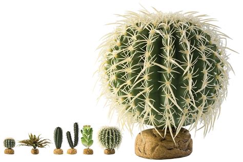 Растение иск Exo Terra Desert Ground Plants Barrel Cactus Medium