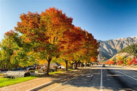 Here Are The Best Times And Places To View Fall Foliage In Washington