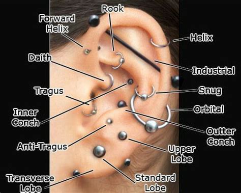 Ear Piercings En 2019 Piercings Piercings Bonitos Y Piercing Labio