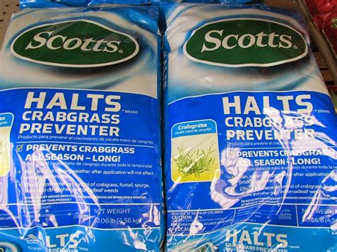 Crabgrass is an annual grass weed. Purdue Turf Tips: How to Select a Crabgrass Preventer from ...