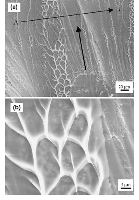 Ein Patterns In The Shear Fracture Surface Of The Ca 65 Mg 15 Zn 20 Bmg