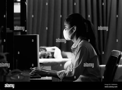 Side View Of Woman Using Computer Stock Photo Alamy