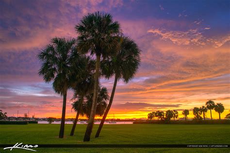 North Palm Beach Sunrise Palm Trees