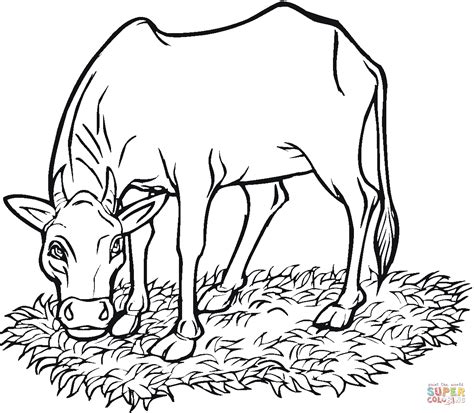 Dibujo De Vaca Pastando En El Campo Para Colorear Dibujos Para Colorear Imprimir Gratis