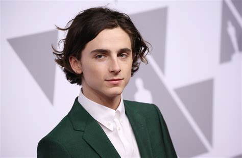 Timothée Chalamets ‘beautiful Boy Sparks Oscar Talk At Cinemacon