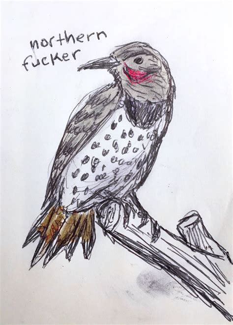 For those who have a disdain for birds, or bird lovers with a sense of humor, this snarky, illustrated handbook is equal parts profane, funny, and—let's face it—true. Field Guide to Dumb Birds of North America — Northern Fucker This bastard is a medium-sized...