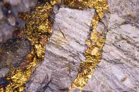 3000 Tonne Gold Mine Found In Up The Cbc News India