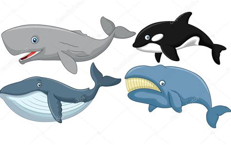 Cartoon Whale Collection — Stock Vector © Tigatelu 53339013