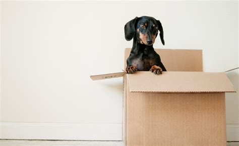 5 Tips For A Stress Free House Move Parrys Estate Agents