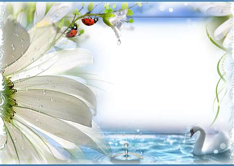 Check spelling or type a new query. ForgetMeNot: swans frames