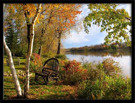 1290x2796px 2k Free Download Peaceful Setting Peaceful Sitting