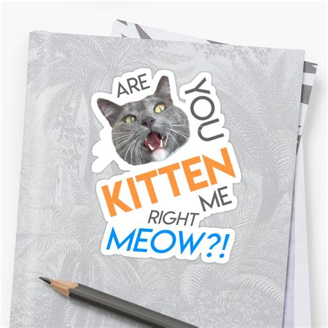 Cat Meme Pun Are You Kitten Me Right Meow Shook Kitty Sticker By Jadespear Redbubble