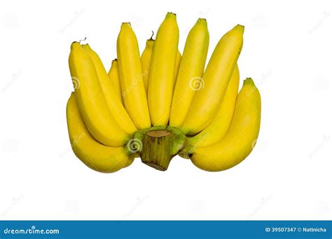 Bananas Isolated On White Stock Image Image Of Fruit 39507347