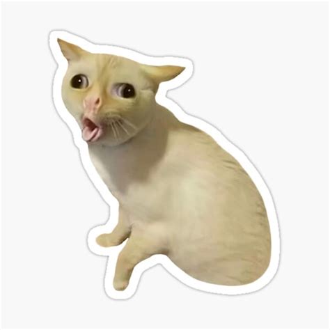 Cat Sticker For Sale By W D Redbubble
