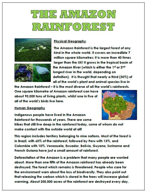 Amazon Rainforest Information Sheet Physical And Human Geography