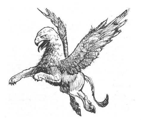 Hippogriff Warhammer The Old World Lexicanum