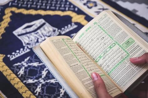 Tafsir Quran Surah Al Bayyinah Lengkap Dengan Bacaan Arab Latin Dan Hot Sex Picture
