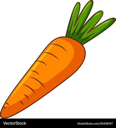 One Carrot On White Background Royalty Free Vector Image