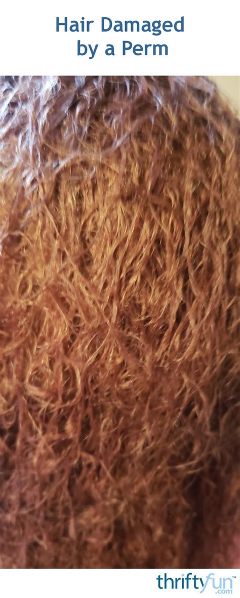 Hair Damaged By A Perm Thriftyfun