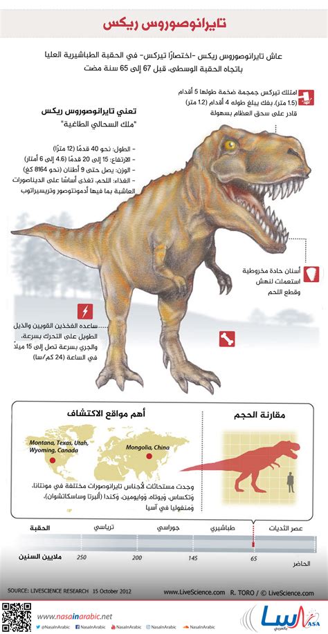 معلومات عن ديناصور