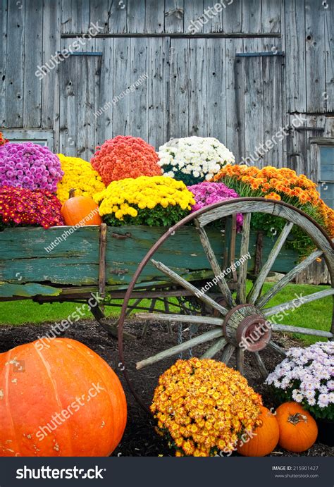Colorful Fall Flowers Pumpkins Old Antique Stock Photo