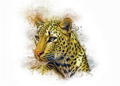 Leopard Art Digital Art By Ian Mitchell