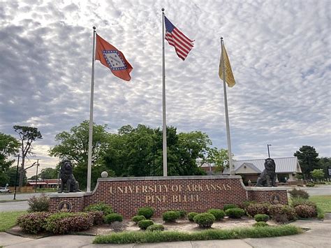 2021 | university for the creative arts. Uca Graduation 2021 / Incoming Transfers — Scholarships ...