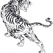 Tiger Tattoos PNG PNG All