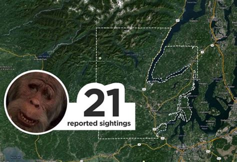 9 Places In Washington Where Youre Likely To Find Bigfoot