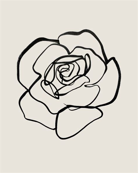 Continuous Line Rose Sumi Ink On Paper By Tristan B Line Art