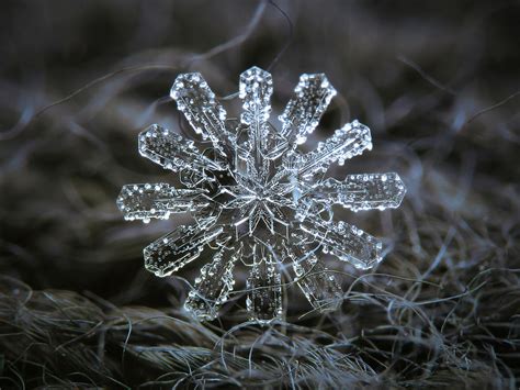 December 18 2015 Snowflake 3 Photograph By Alexey Kljatov Fine Art