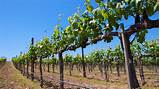 Vacation Packages Napa Valley California Pictures