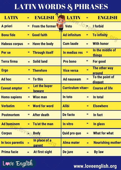 Latin Words 50 Cool Latin Words And Phrases You Should Know Love English Latin Words Latin
