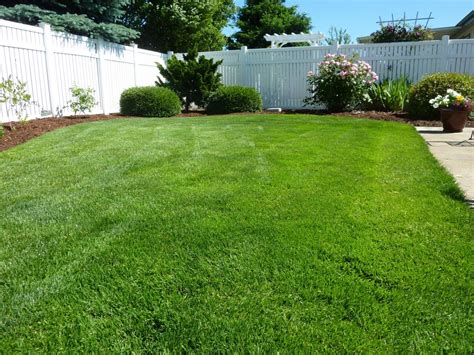 Lawn Care In Parrish Fl Your Green Team