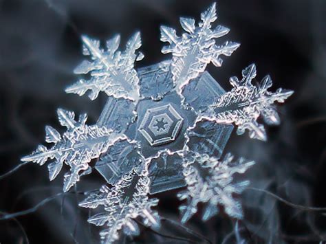 The Science Behind Snowflakes Abc Columbia