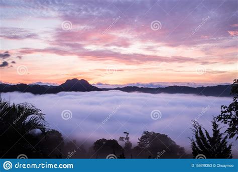 Fresh In The Morning Sunrise With Mist Beautiful Landscape View Stock