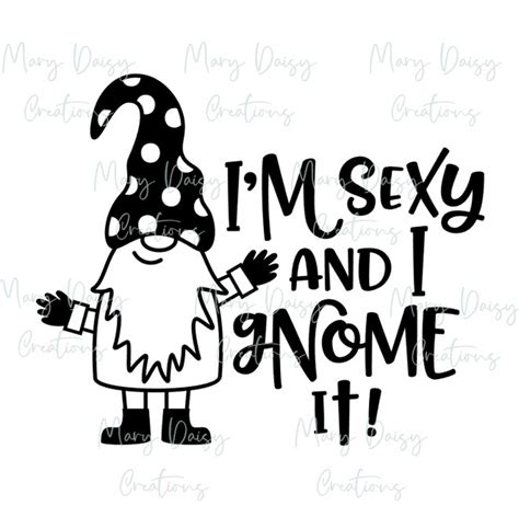 I M Sexy And I Gnome It Vinyl Decal Sticker Etsy