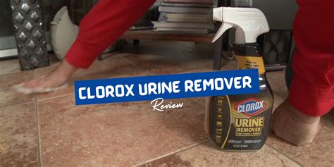 clorox urine remover review does it really works clean home lab