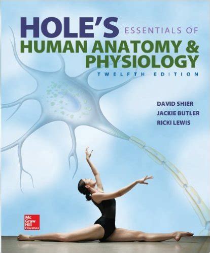 Holes Essentials Of Human Anatomy And Physiology 9780073403724