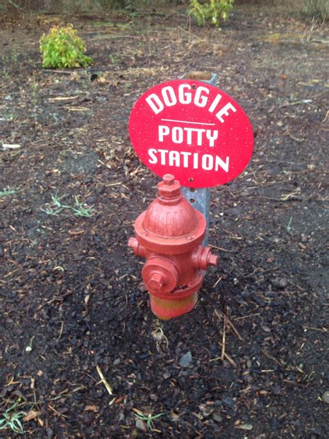 This Fire Hydrant For Dogs To Pee On Dog Boarding Ideas Dog Boarding