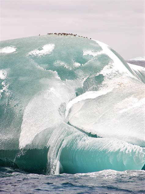 New Clue In Jade Iceberg Mystery — Australian Antarctic Program News 2019