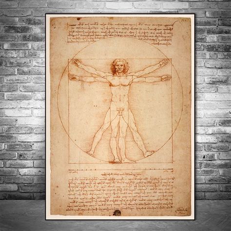 The Vitruvian Man By Leonardo Da Vinci Drawing Art Paintings Printed On
